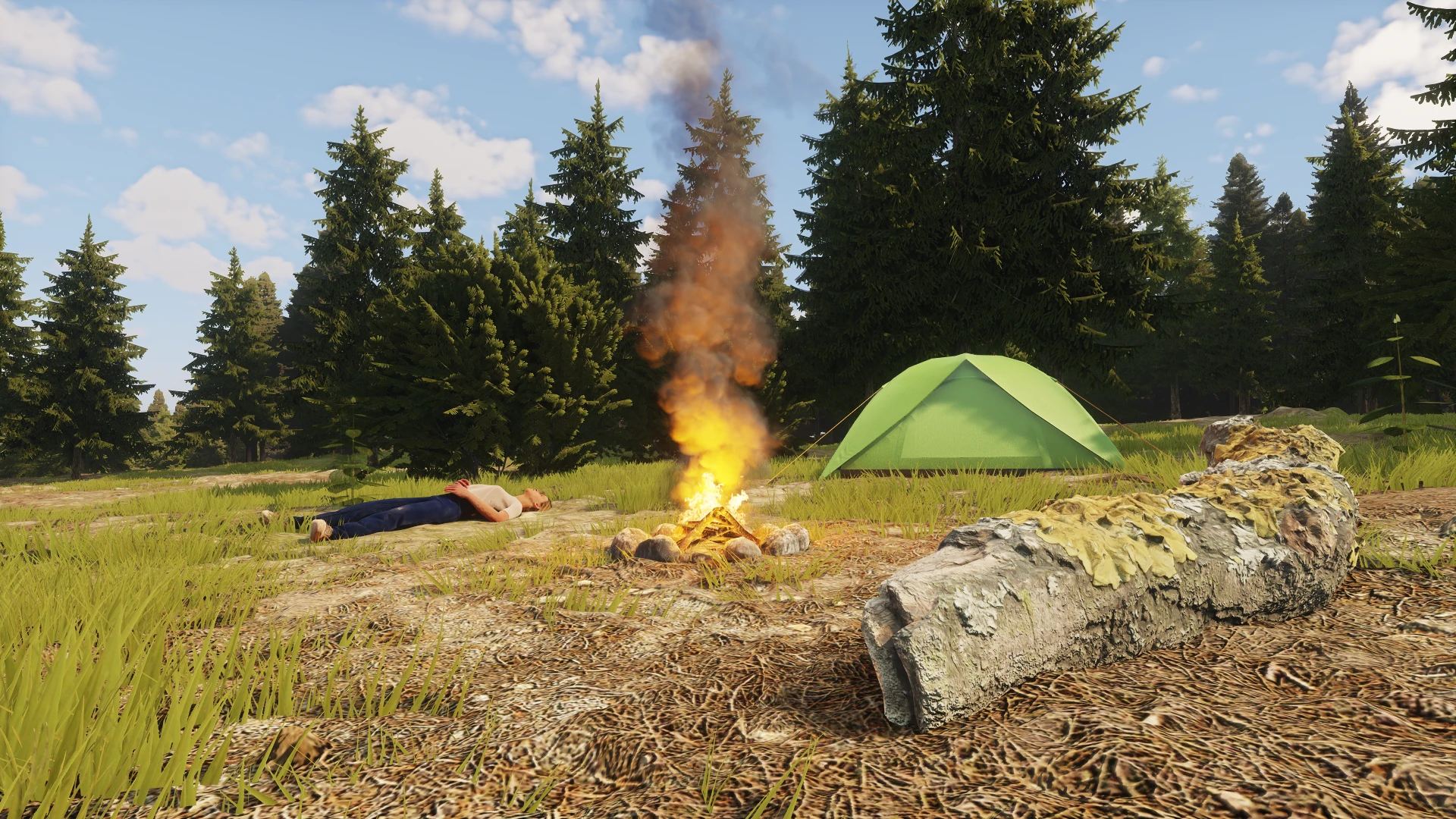 Urgent cargo delivery in the burning forest 