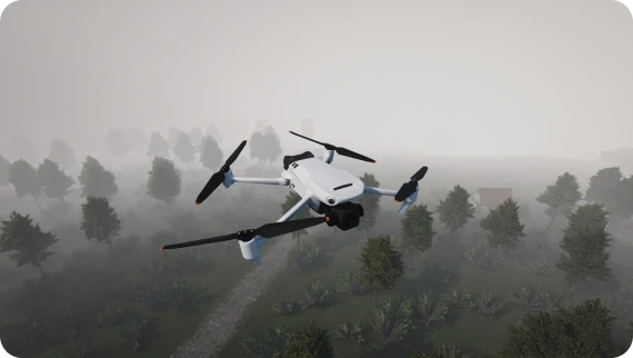 Fog