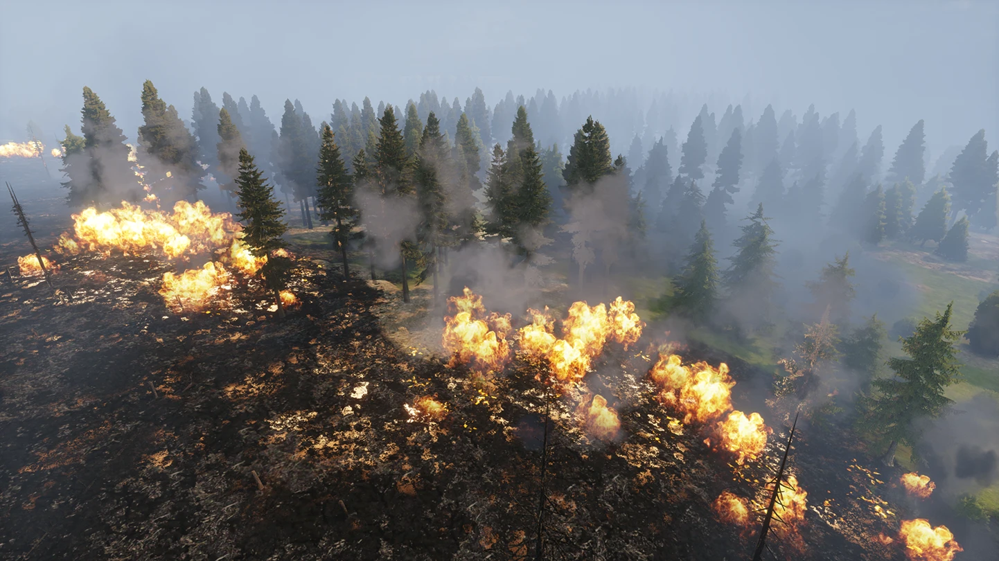 Burning Forest