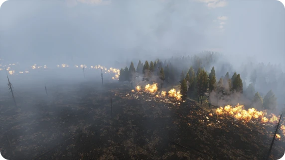 Burning Forest