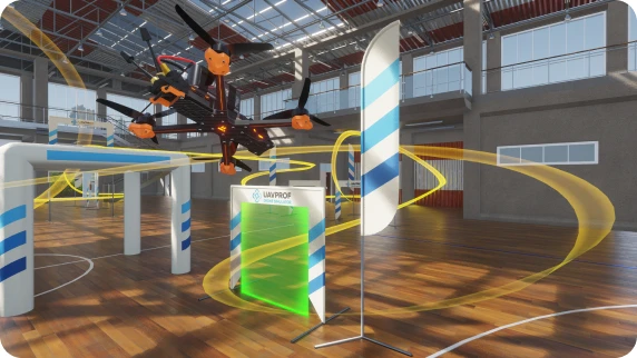 Nose Dive Gym